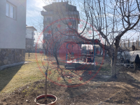 Bingöl Merkez SİMANİ MAHALLESİ Milli Emlak'tan Satılık 386,06 m2 Tarla