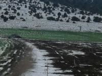 Çorum Mecitözü Pınarbaşı Köyü Milli Emlak'tan Satılık 2.873,96 m2 Tarla