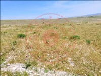 Afyonkarahisar Başmakçı Küllüce Köyü Milli Emlak'tan Satılık 3.032,27 m2 Arsa