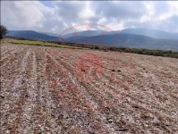 Afyonkarahisar Başmakçı Yaka Köyü Milli Emlak'tan Satılık 3.099,00 m2 Tarla