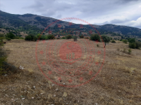 Sivas Merkez Gülpınar Köyü Milli Emlak'tan Satılık 3.237,80 m2 Tarla