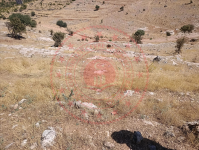 Mardin Artuklu Yalım Köyü Milli Emlak'tan Satılık 121,56 m2 Tarla