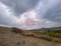 Bingöl Merkez Ekinyolu Köyü Milli Emlak'tan Satılık 920,87 m2 Tarla