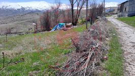 Erzincan Tercan Tepebaşı Köyü Milli Emlak'tan Satılık 1.074,58 m2 Tarla