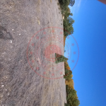 Eskişehir Seyitgazi Göcenoluk Köyü Milli Emlak'tan Satılık 9.070,80 m2 Tarla