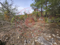 Karabük Merkez Kapaklı Köyü Milli Emlak'tan Satılık 409,74 m2 Tarla