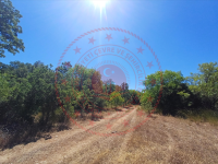 Muğla Menteşe Yaraş Köyü Milli Emlak'tan Satılık 3.523,25 m2 Tarla