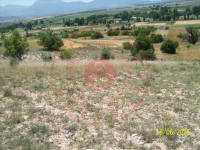 Konya Seydişehir Gevrekli Kasabası Milli Emlak'tan Satılık 1.413,04 m2 Tarla