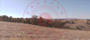 Uşak Eşme Yeşilkavak Köyü Milli Emlak'tan Satılık 5.544,24 m2 Tarla
