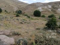 Kahramanmaraş Elbistan Atmalıkaşanlı Mahallesi Milli Emlak'tan Satılık 18.296,69 m2 Tarla