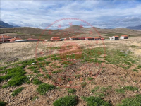 Afyonkarahisar Dinar Çiçektepe - Atatürk Mahallesi Milli Emlak'tan Satılık 645,04 m2 Arsa