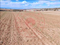 Afyonkarahisar Başmakçı Yaka Köyü Milli Emlak'tan Satılık 3.750,00 m2 Tarla