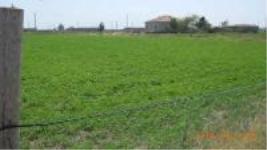 Aksaray Merkez Yeşilova - Köseli Mahallesi Milli Emlak'tan Satılık 2.220,30 m2 Arsa