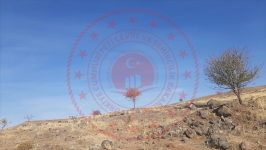 Malatya Hekimhan Ballıkaya Köyü Milli Emlak'tan Satılık 156,11 m2 Tarla