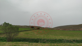Çorum Alaca Küre Köyü Milli Emlak'tan Satılık 646,52 m2 Tarla