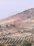 Kilis Polateli Dümbüllü Köyü Milli Emlak'tan Satılık 7.870,32 m2 Tarla
