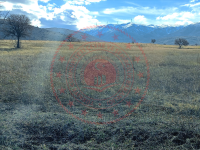 Konya Kadınhanı Şahören Köyü Milli Emlak'tan Satılık 7.300,00 m2 Tarla