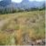 Erzurum Narman Koçkaya Köyü Milli Emlak'tan Satılık 12.449,27 m2 Tarla