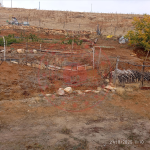 Konya Beyşehir Karaali Kasabası Milli Emlak'tan Satılık 1.106,15 m2 Arsa