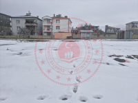 Van Edremit Suphan Milli Emlak'tan Satılık 947,25 m2 Tarla