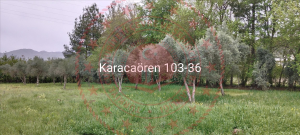 Osmaniye Düziçi Yarbaşı - Karacaören Mahallesi Milli Emlak'tan Satılık 953,70 m2 Arsa
