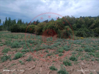 Burdur Çavdır İshak Köyü Milli Emlak'tan Satılık 2.058,58 m2 Tarla