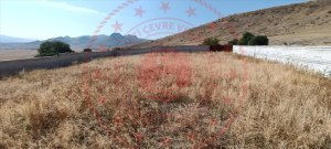 Kırşehir Merkez Çayağzı - Merkez Mahallesi Milli Emlak'tan Satılık 12.053,93 m2 Tarla