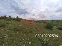 Amasya Merkez Ermiş Köyü Milli Emlak'tan Satılık 8.736,90 m2 Tarla
