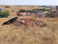 Konya Yunak Kuyubaşı Köyü Milli Emlak'tan Satılık 1.634,59 m2 Tarla