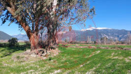 Muğla Seydikemer Sahilceylan Köyü Milli Emlak'tan Satılık 652,49 m2 Arsa