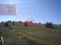 Çankırı Kurşunlu Erenler Mahallesi Milli Emlak'tan Satılık 8.436,48 m2 Tarla