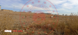 Konya Sarayönü Gözlü Kasabası Milli Emlak'tan Satılık 1.750,00 m2 Tarla