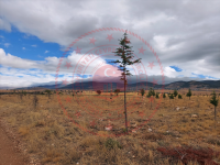 Konya Hüyük Köşk Kasabası Milli Emlak'tan Satılık 722,49 m2 Arsa