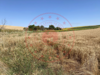 Edirne Uzunköprü Turnacı Köyü Milli Emlak'tan Satılık 774,77 m2 Tarla