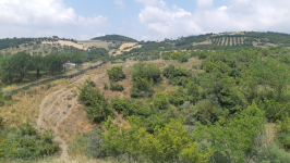 Balıkesir Kepsut Recep Köyü Milli Emlak'tan Satılık 2.950,00 m2 Tarla