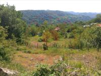 Zonguldak Kozlu Aşağı Çayır Köyü Milli Emlak'tan Satılık 749,93 m2 Tarla