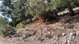 Burdur Bucak Demirli Köyü Milli Emlak'tan Satılık 1.995,45 m2 Tarla