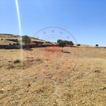 Mardin Midyat Cumhuriyet Mahallesi Milli Emlak'tan Satılık 4.302,99 m2 Tarla