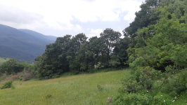Balıkesir Kepsut Tuzak Köyü Milli Emlak'tan Satılık 4.065,92 m2 Tarla