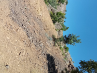 Malatya Hekimhan Dereköy Köyü Milli Emlak'tan Satılık 240,52 m2 Tarla