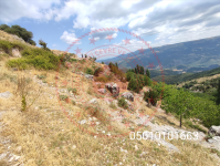 Amasya Merkez Ardıçlar Köyü Milli Emlak'tan Satılık 1.131,58 m2 Tarla