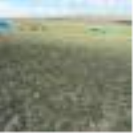 Kayseri Kocasinan Yuvalı Mahallesi Milli Emlak'tan Satılık 633,63 m2 Tarla