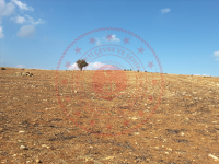 Konya Beyşehir Gökçimen Kasabası Milli Emlak'tan Satılık 2.907,88 m2 Tarla