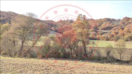 Çorum Merkez Büyükgülücek Köyü Milli Emlak'tan Satılık 1.661,90 m2 Tarla