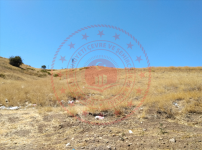 Kırıkkale Delice Evliyalı Köyü Milli Emlak'tan Satılık 2.552,94 m2 Tarla