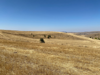 Kayseri Kocasinan Yüreğil Mahallesi Milli Emlak'tan Satılık 4.153,42 m2 Tarla