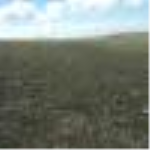 Kayseri Kocasinan Yuvalı Mahallesi Milli Emlak'tan Satılık 832,47 m2 Tarla