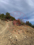 Samsun Alaçam Demircideresi Köyü Milli Emlak'tan Satılık 3.521,87 m2 Tarla