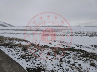 Erzurum Palandöken Tepeköy Mahallesi Milli Emlak'tan Satılık 9.560,72 m2 Tarla