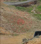 Bingöl Genç Yayla Köyü Milli Emlak'tan Satılık 433,31 m2 Tarla